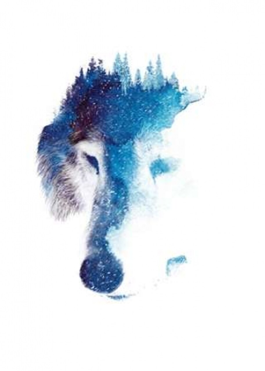 Through Many Storms Poster Print by Robert Farkas - Item # VARPDXF587D